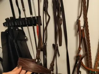 Träns hästutrustning Sidepull i handsytt läder + Mountain H nackskydd i Luleå - Annons 9