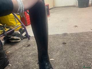 Ridstövlar ryttarutrustning till salu: Ridstövlar i Falun - Annons 14