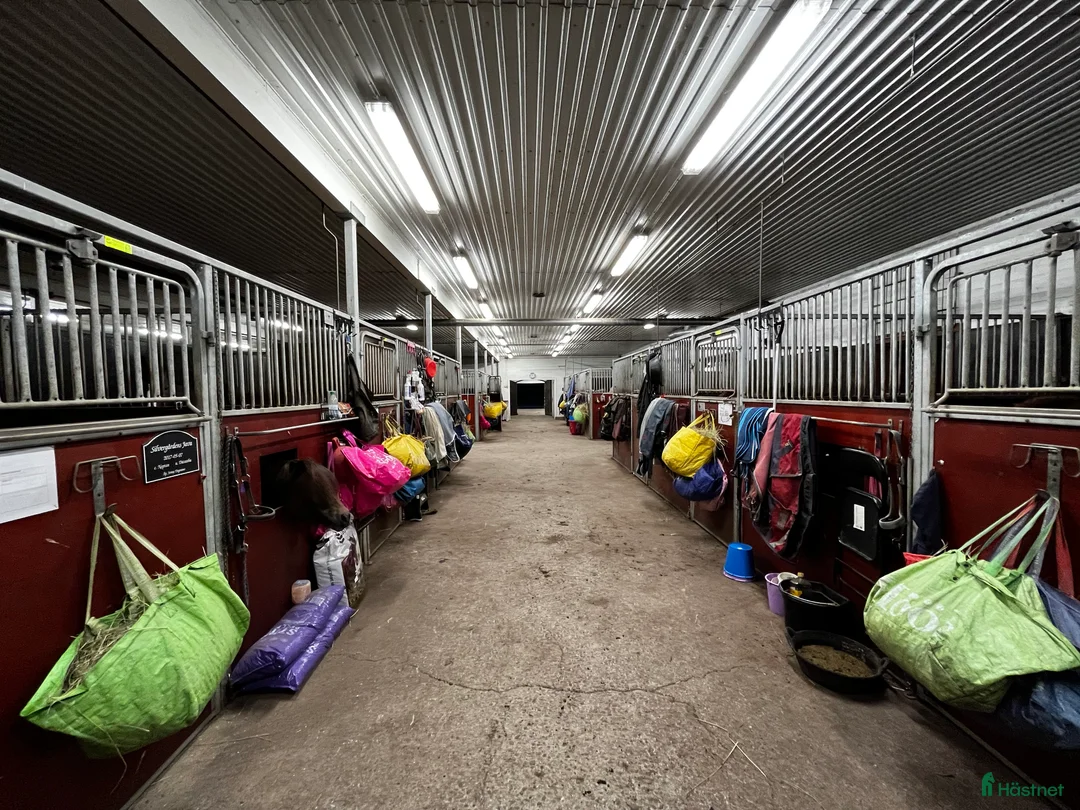  stallplats finnes: Stall med bra rid/körvägar, lång utevistelse i Tungelsta - Annons 5