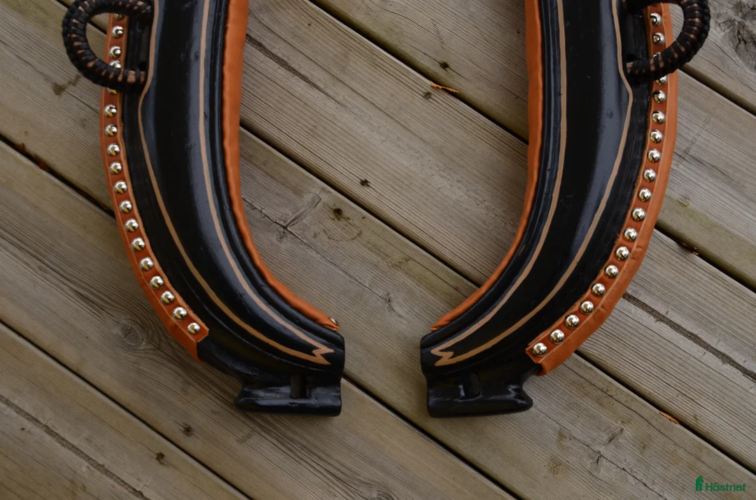 Körselar körning till salu: Finnlokor - Annons 2