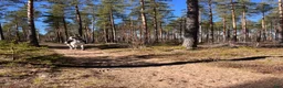  stallplats finnes: Boxplatser i Norr Amsberg i Borlänge. i Borlänge - Annons 3