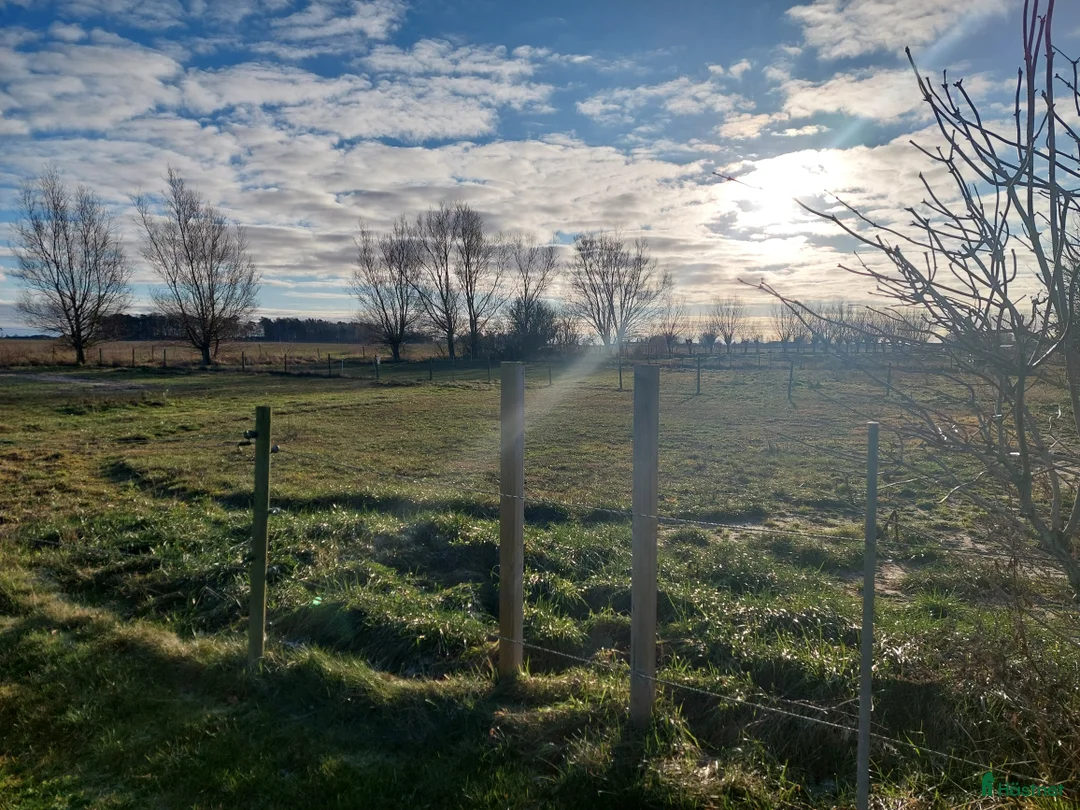  stallplats finnes: Stallplats i litet mysigt stall I Hofterup i Löddeköpinge - Annons 1