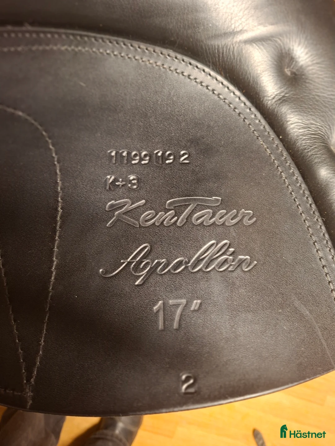 Sadlar hästutrustning till salu: Kentauer Apollon i Hamneda - Annons 5