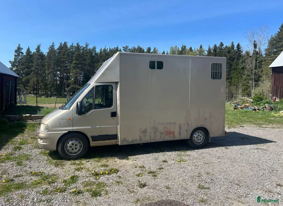 Hästlastbilar  fordon & transport till salu: Hästlastbil B-kort med dragkrok - Annons 9