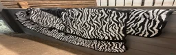 Täcken hästutrustning till salu: Flugtäcke Zebra - Annons 1