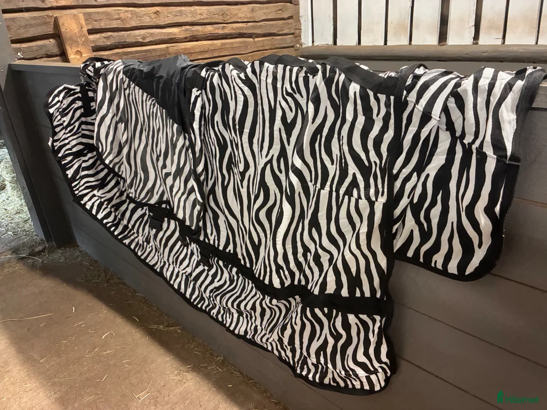Täcken hästutrustning till salu: Flugtäcke Zebra - Annons 1