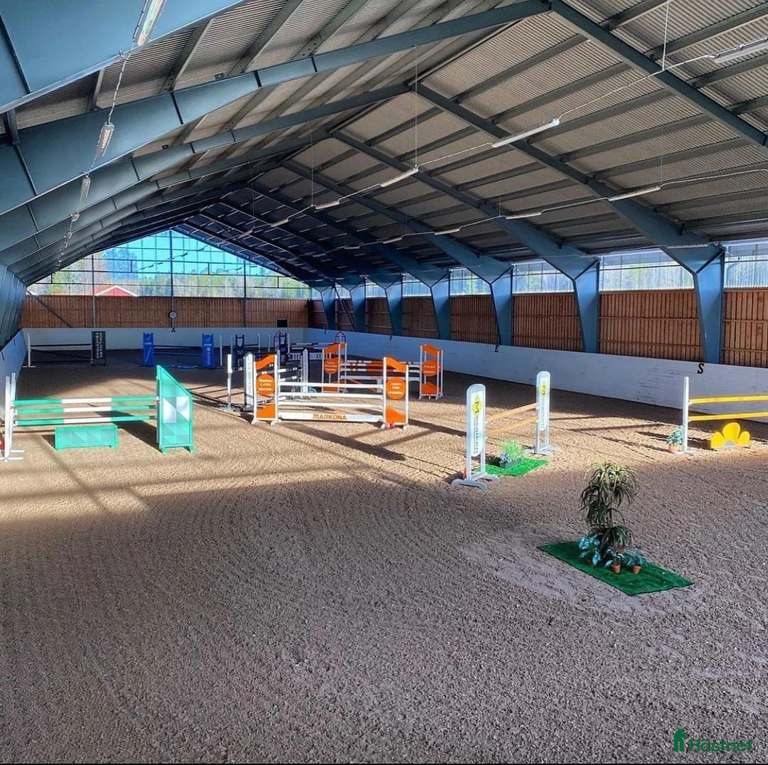  stallplats finnes: Ledig stallplats - Annons 1
