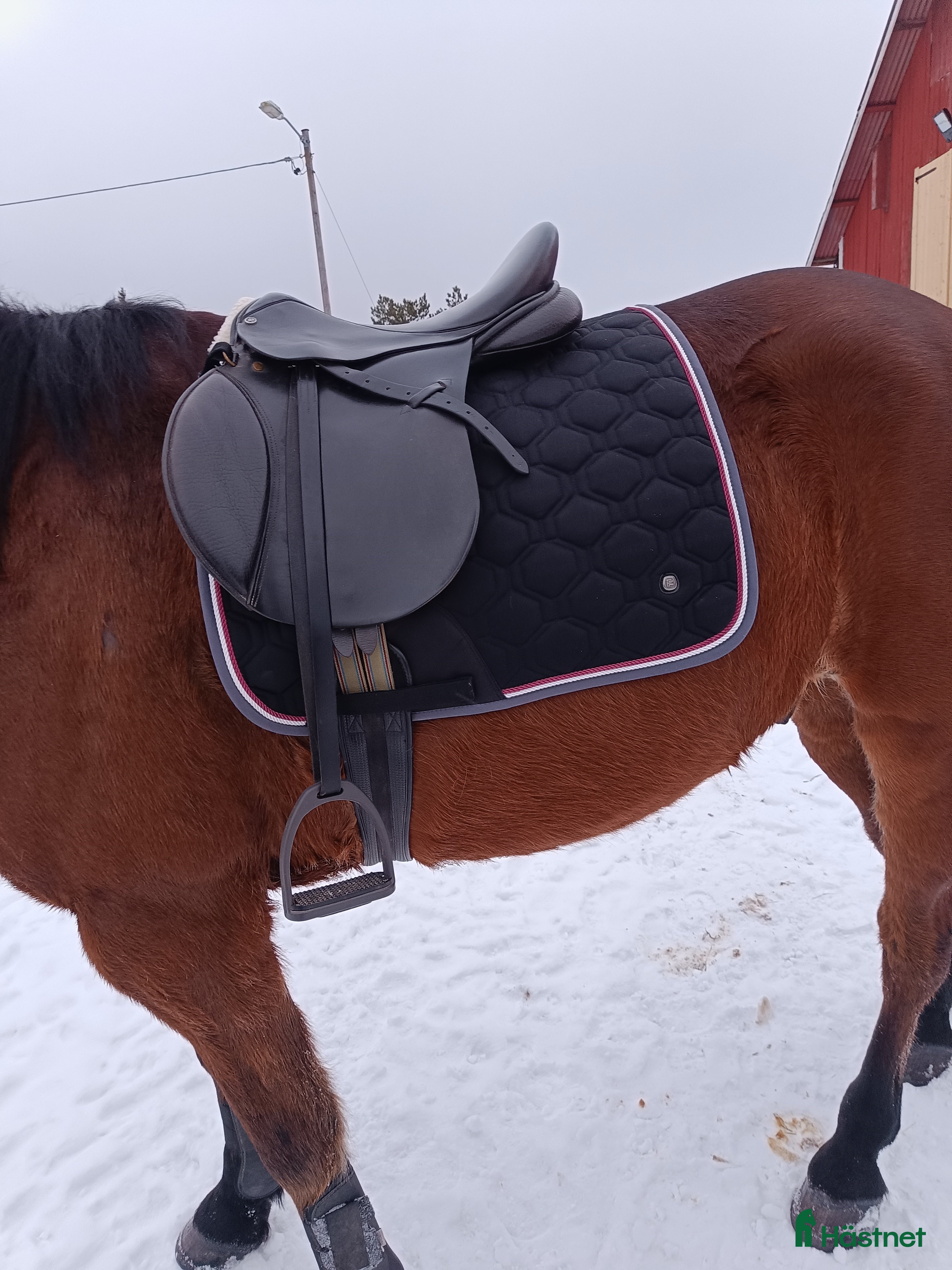 Sadlar hästutrustning Moris and norlan allround sadel i Norrtälje - Annons 3