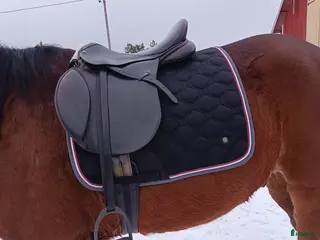 Sadlar hästutrustning Moris and norlan allround sadel i Norrtälje - Annons 3