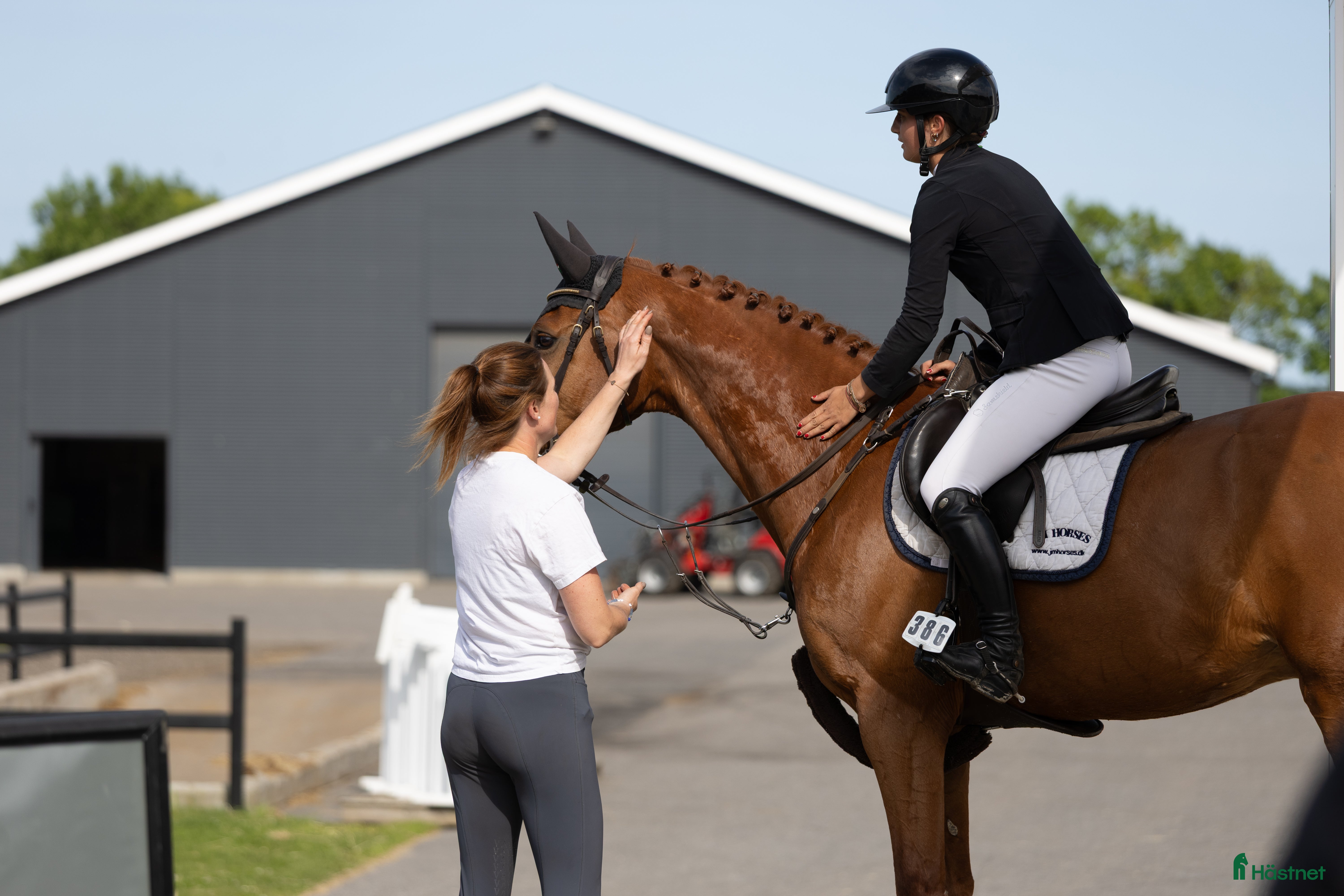  hästjobb Hoppryttare sökes till hopp/försäljningsstall! i Sulsted - Annons 5