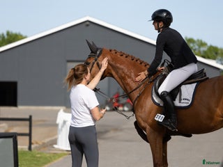 hästjobb Hoppryttare sökes till hopp/försäljningsstall! i Sulsted - Annons 5