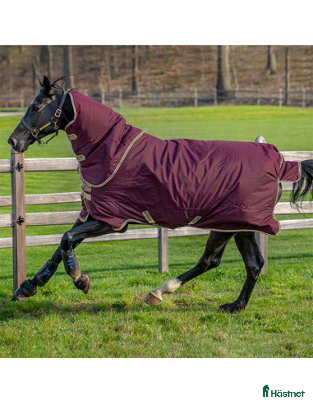 Täcken hästutrustning till salu: Horsewear Regntäcke  i Haninge - Annons 1