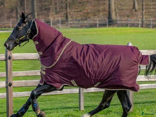 Täcken hästutrustning till salu: Horsewear Regntäcke i Haninge - Annons 20