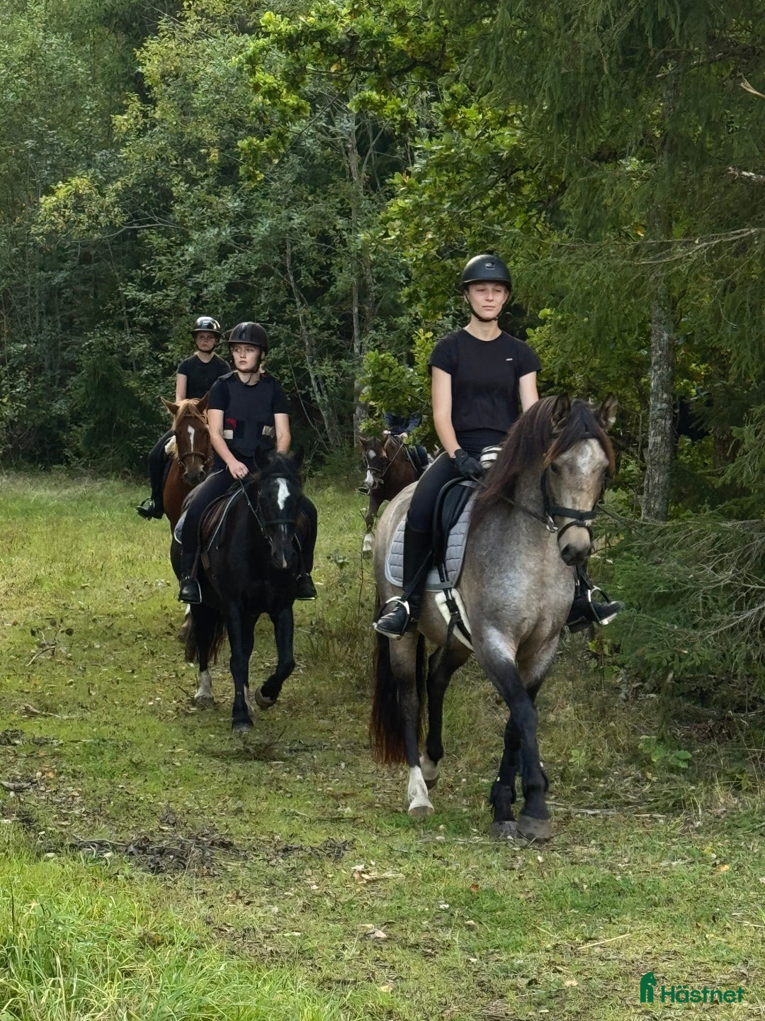  hästservice finnes: Julklappstips! Ridläger sommaren 2026 i Lidköping - Annons 2