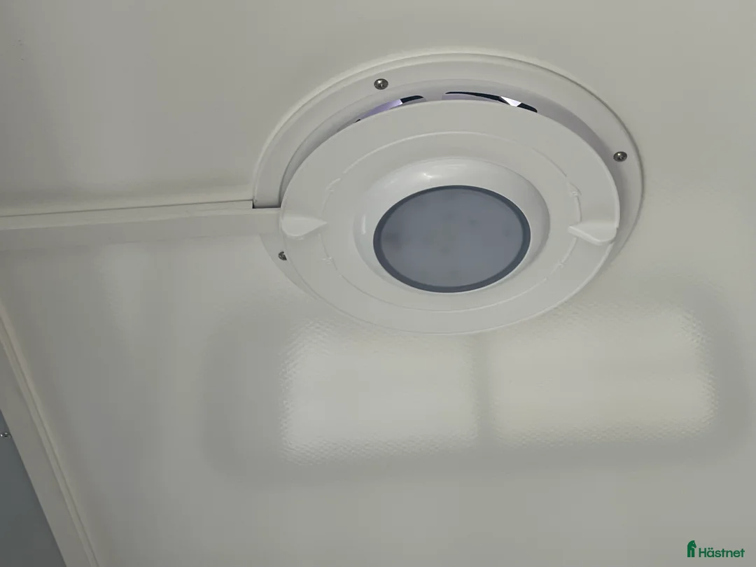 Hästtransporter  fordon & transport till salu: Umesläp B60 Demo - Annons 3