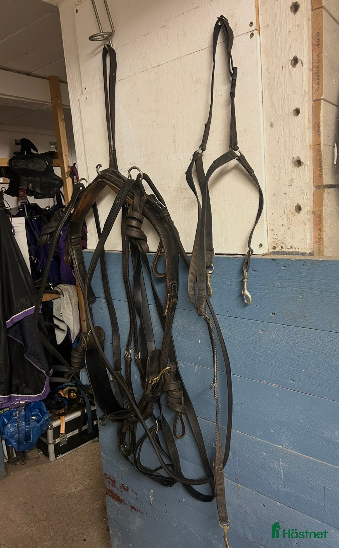 Travselar trav till salu: Remsele strl Full i Sorunda - Annons 2