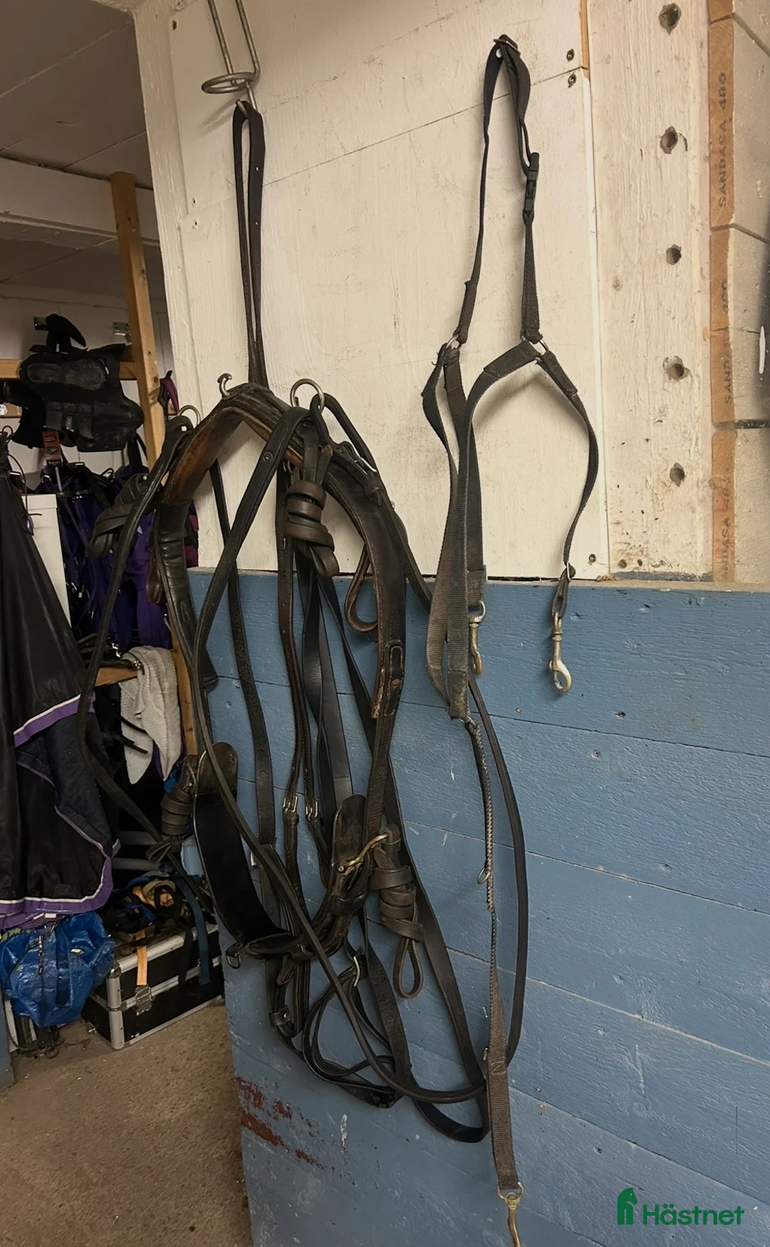 Travselar trav till salu: Remsele strl Full i Sorunda - Annons 2