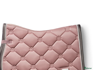 Schabrak & Vojlockar hästutrustning till salu: Snyggt och fräscht shabrsk i Norrtälje - Annons 2