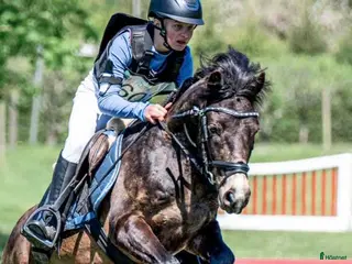 hästar SM B-ponny i Kävlinge - Annons 1