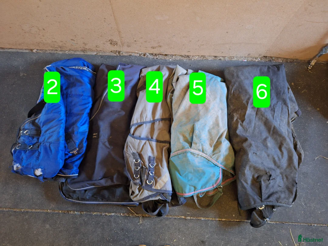 Övrig Hästutrustning hästutrustning till salu: Rensning - Annons 2