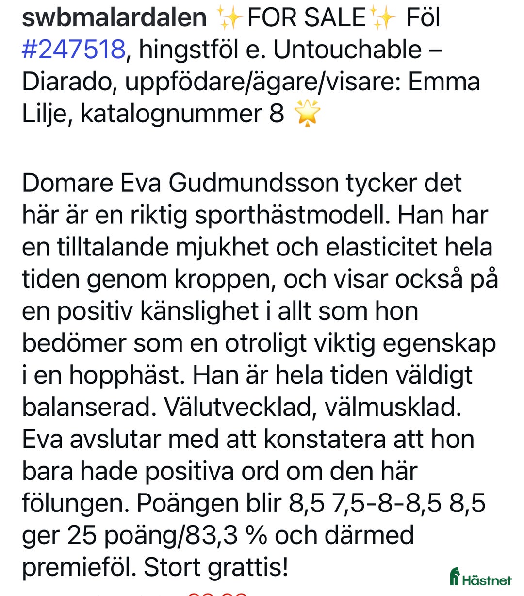 Hoppning hästar till salu: Premieföl med fantastiskt möderne i Köping - Annons 8