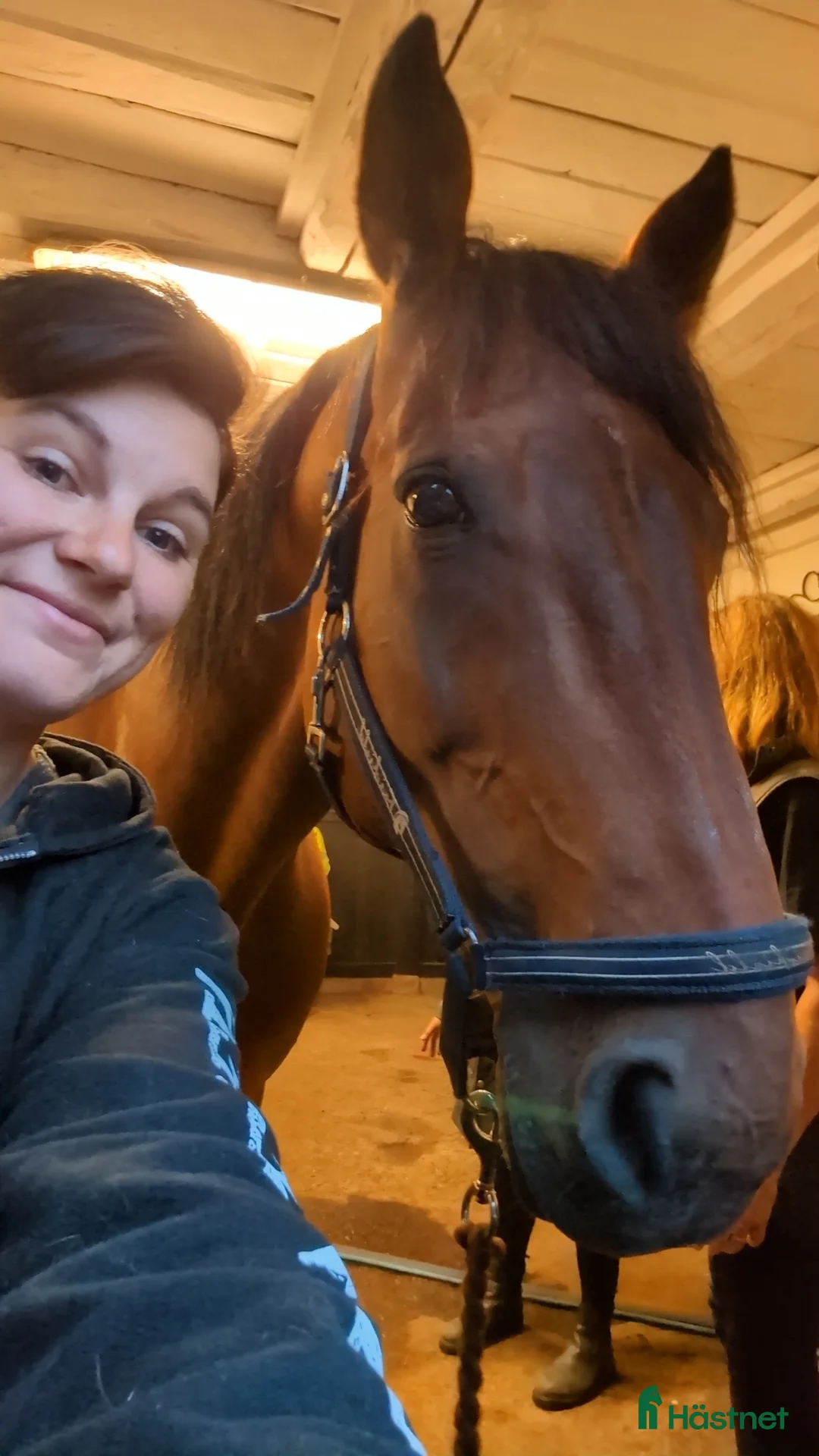 Galleribild {{count}}