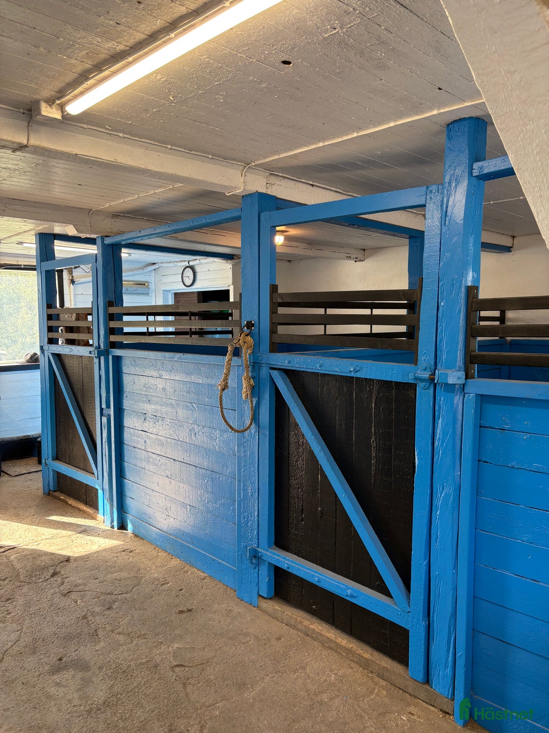  stallplats finnes: Lediga boxplatser i Vallentuna - Annons 2