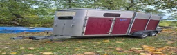 Hästtransporter  fordon & transport till salu: Ifor Williams HB505R - Annons 2