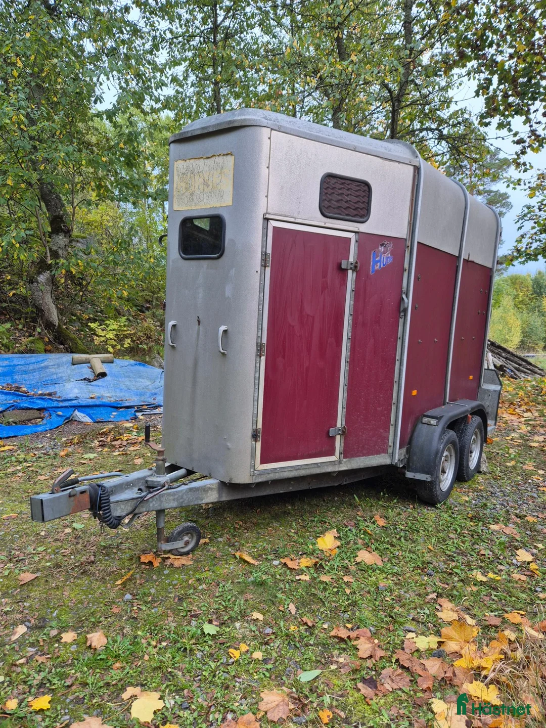 Hästtransporter  fordon & transport till salu: Ifor Williams HB505R - Annons 2