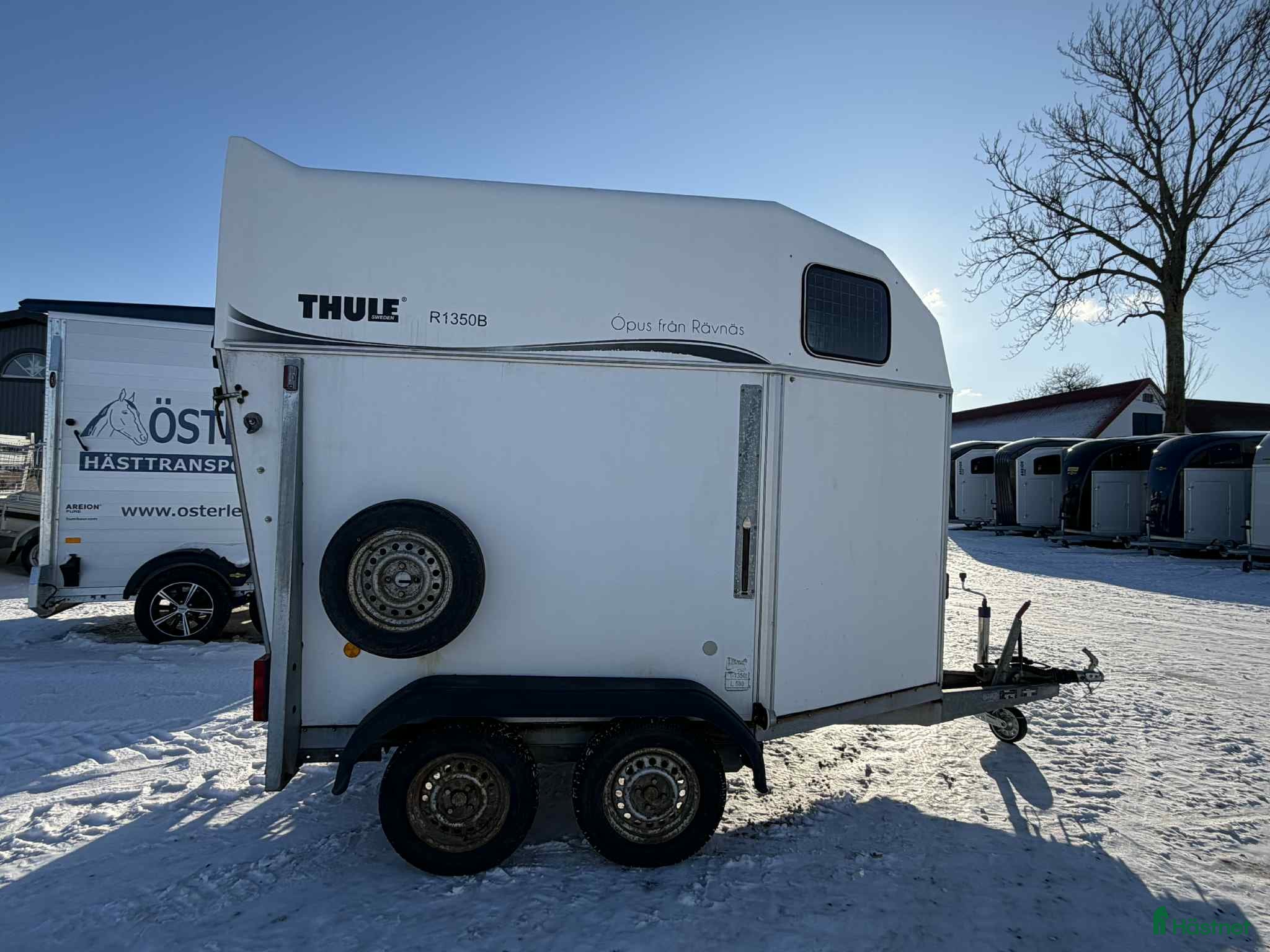 Hästtransporter  fordon & transport till salu: Fin, nybesiktad hästtransport med hård lucka i Löderup - Annons 4