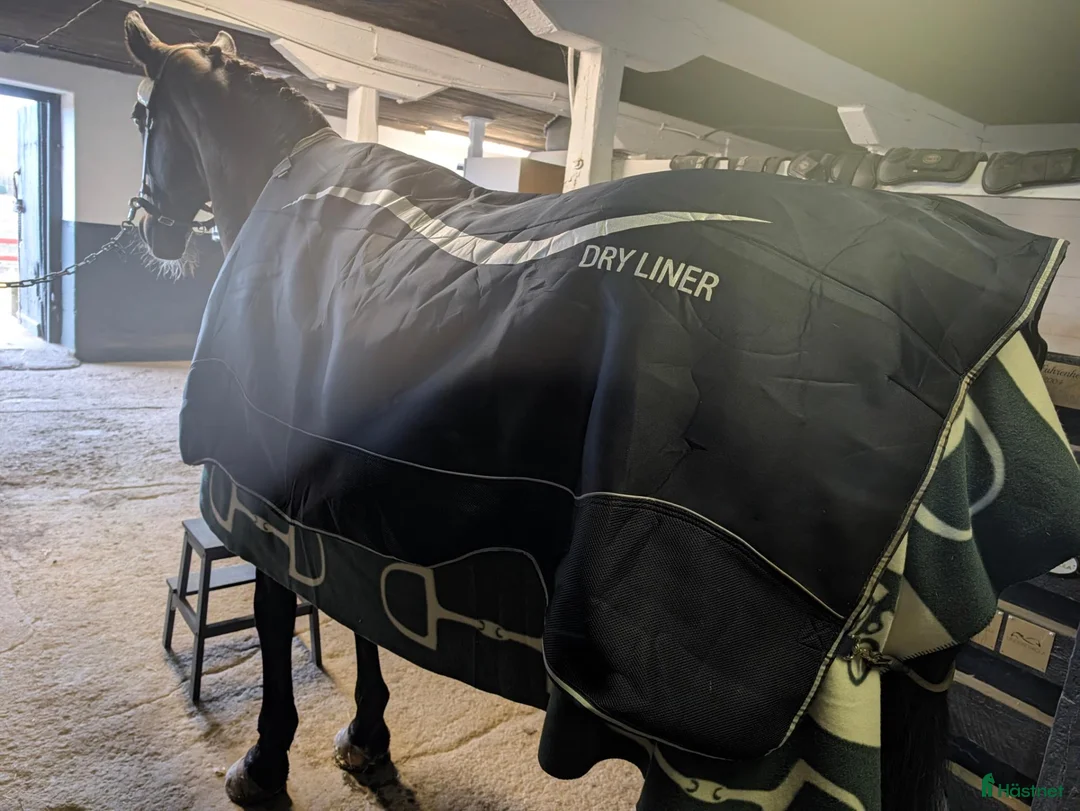 Täcken hästutrustning till salu: Rambo fleece och Amigo dry liner. - Annons 2
