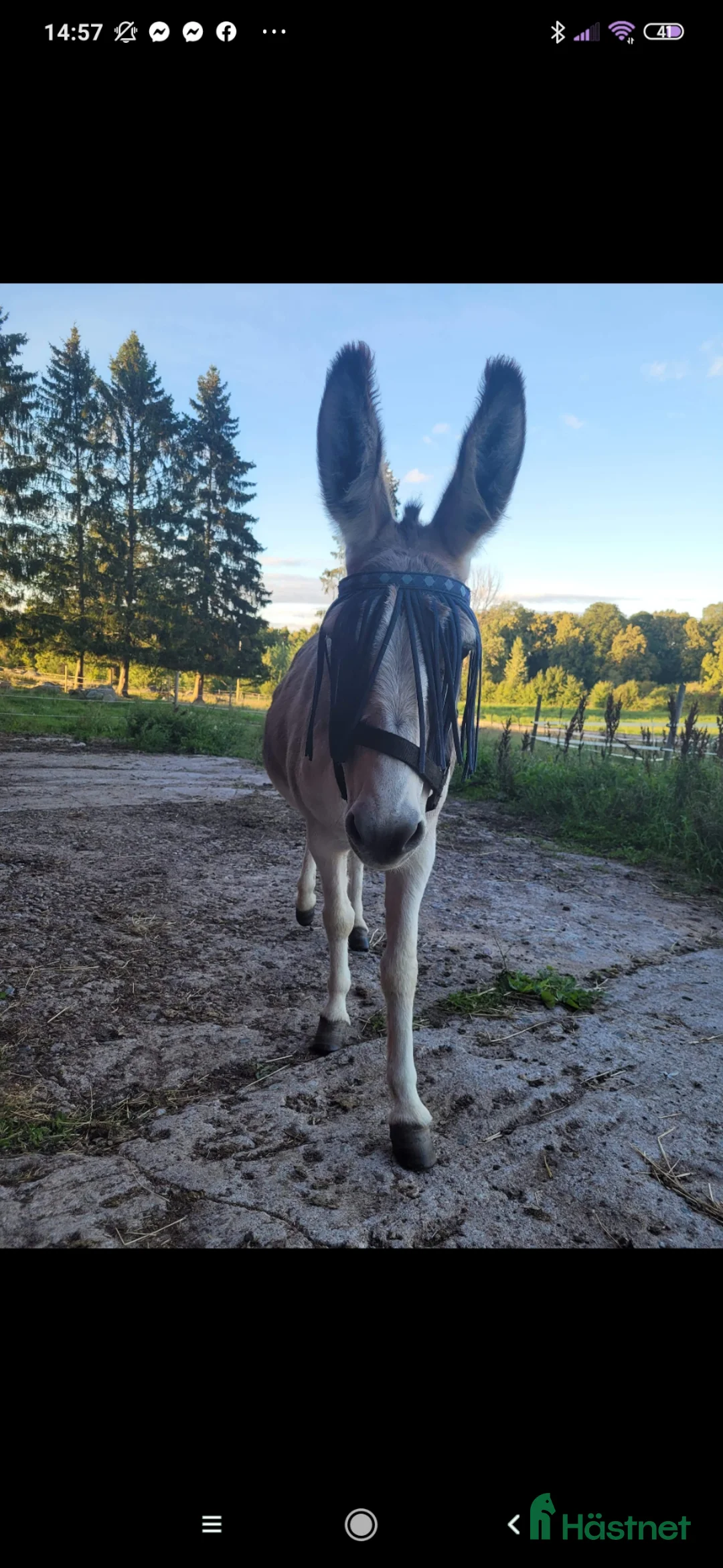 Galleribild {{count}}