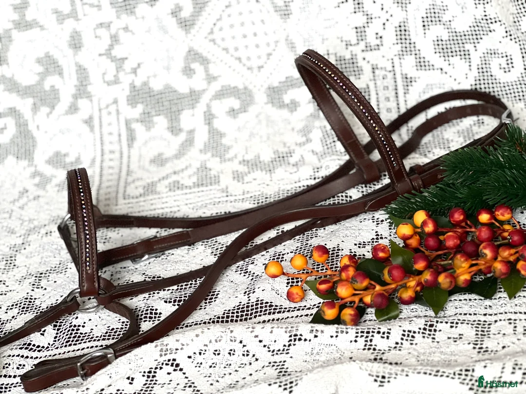 Träns hästutrustning till salu: Islandsträns - Annons 1