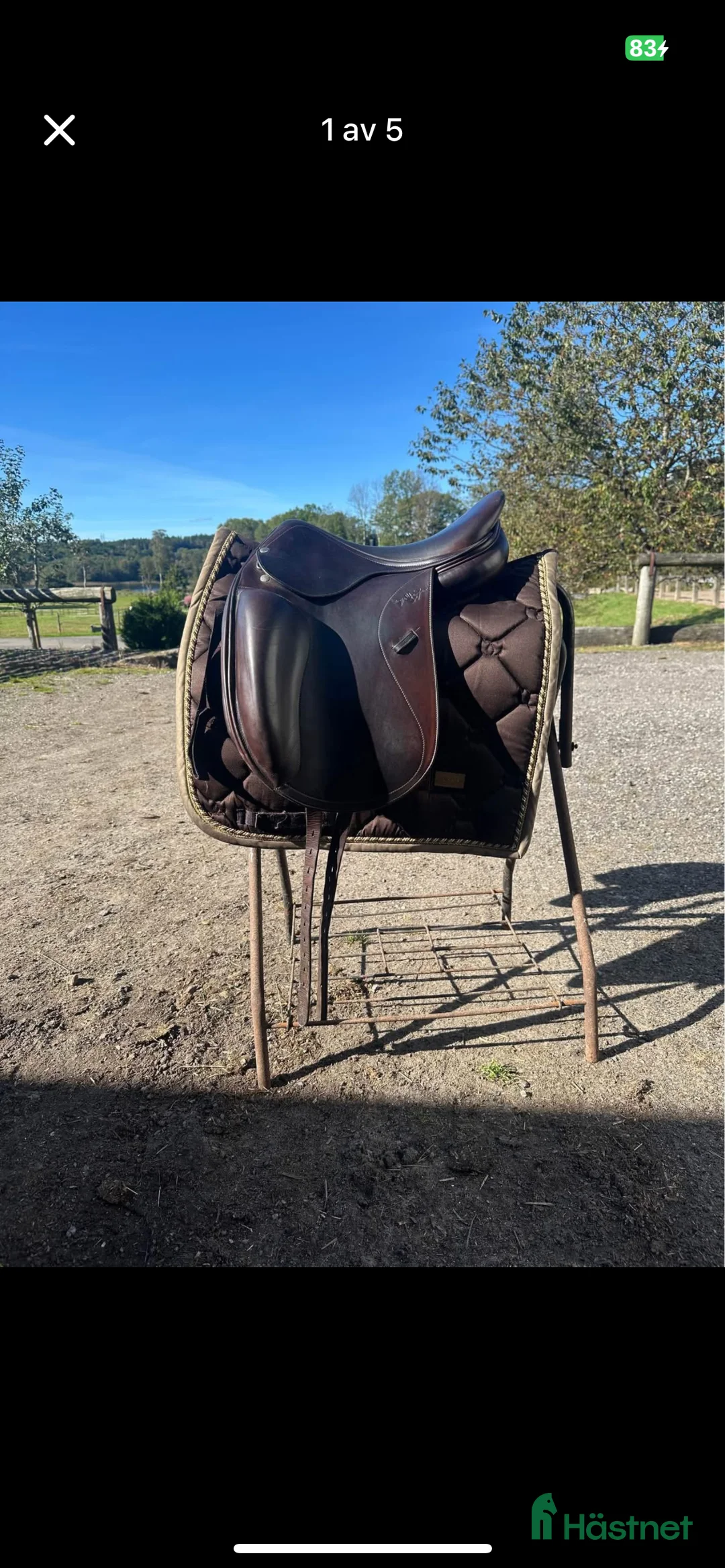 Sadlar hästutrustning till salu: Equipe Emporio - Annons 1