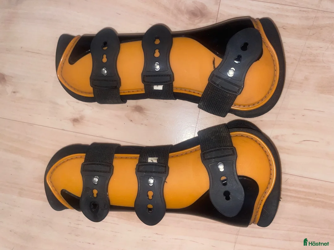 Benskydd hästutrustning till salu: Senskydd - Annons 1