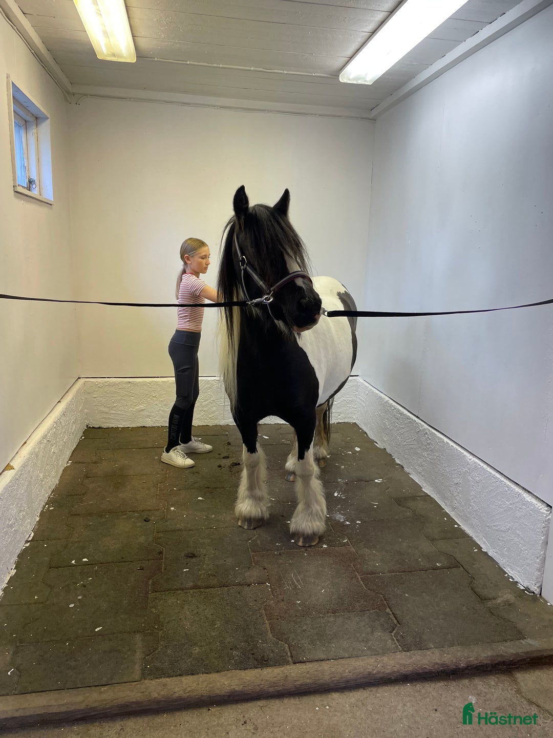  stallplats finnes: Lösdrift i Riala - Annons 3