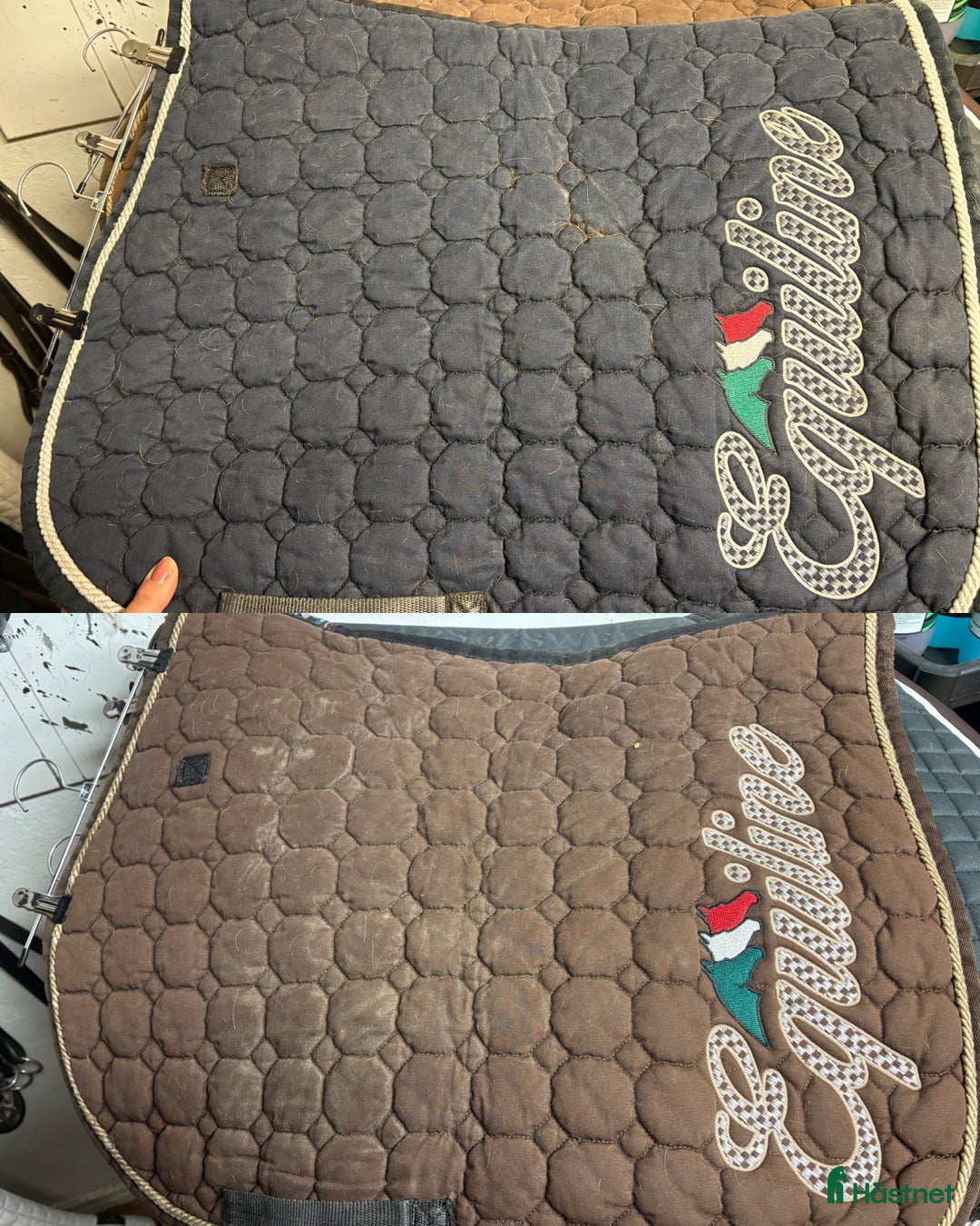 Schabrak & Vojlockar hästutrustning till salu: Equiline schabrak  i Oskarshamn - Annons 1