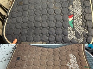 Schabrak & Vojlockar hästutrustning till salu: Equiline schabrak i Oskarshamn - Annons 4