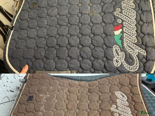 Schabrak & Vojlockar hästutrustning till salu: Equiline schabrak - Annons 17