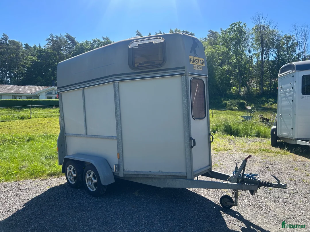 Hästtransporter  fordon & transport till salu: Star Trailer HT Starviking 1400 – 2006 - Annons 2