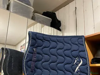 Schabrak & Vojlockar hästutrustning Säljer schabrak storlek ponny i Norrtälje - Annons 8