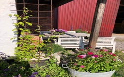  stallplats finnes: Boxplatser lediga utanför Vellinge🙂 i Vellinge - Bild 10