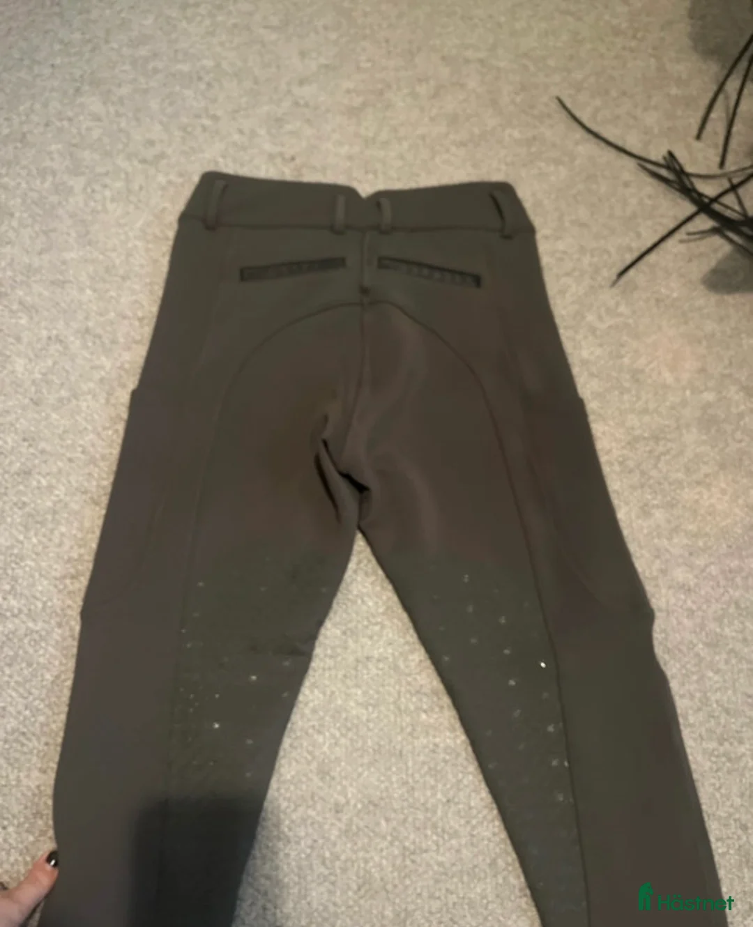 Ridbyxor ryttarutrustning till salu: Ridbyxor zaczess - Annons 2
