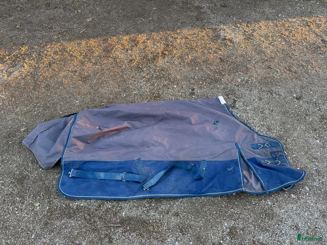 Täcken hästutrustning till salu: Vintertäcke - Annons 2