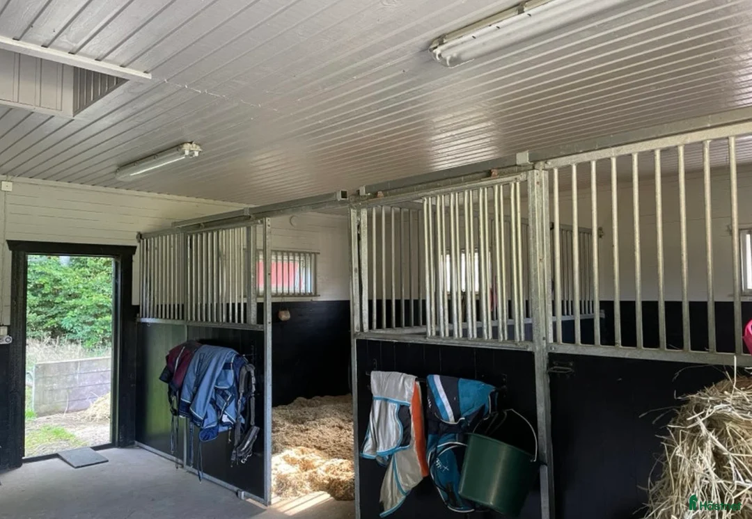  stallplats finnes: Två boxplatser på stall Rydbolund i Tollarp - Annons 5