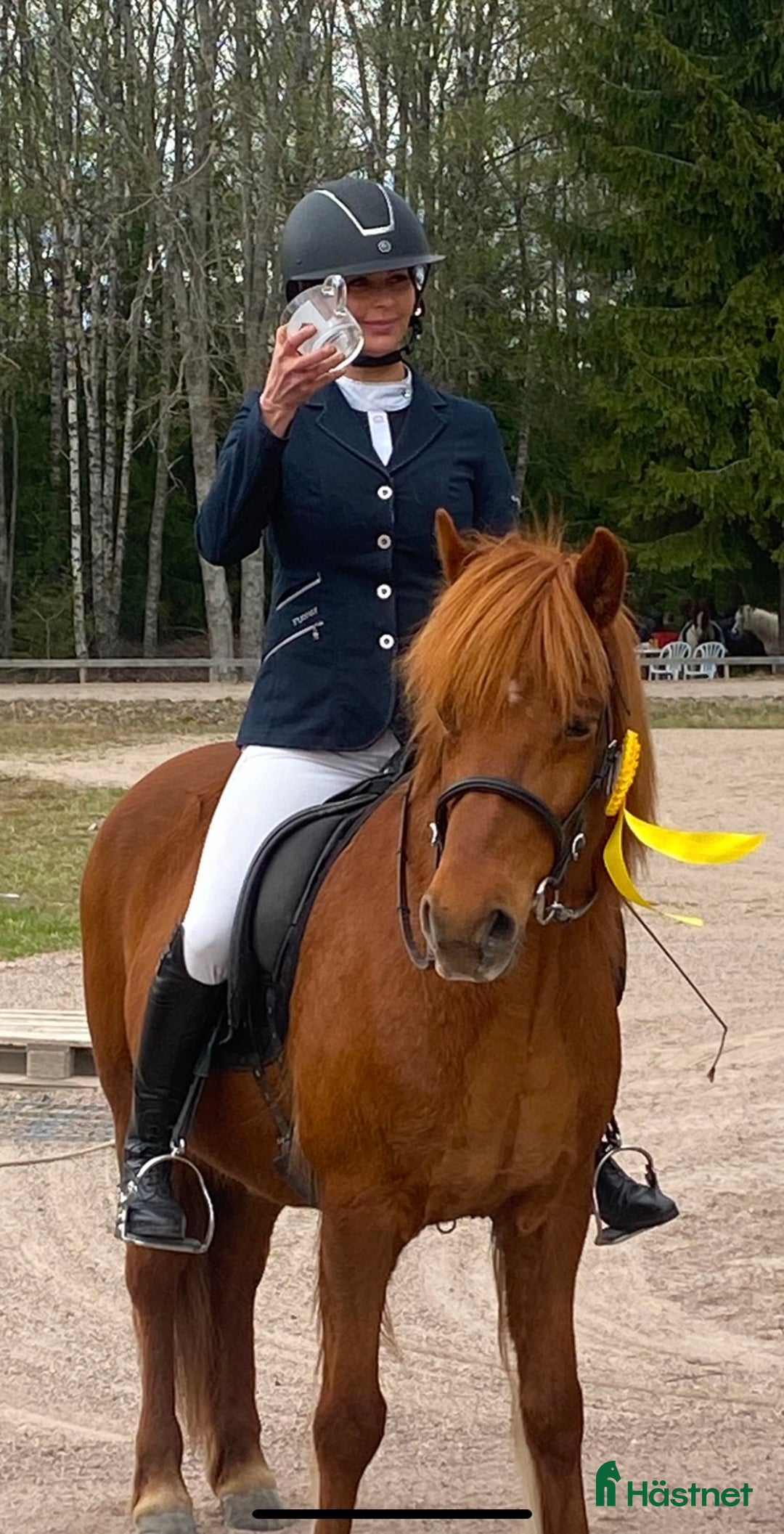 Island hästar till salu: Vackert sto i Skinnskatteberg - Annons 2