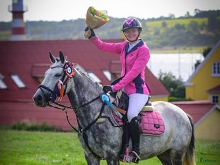 Hoppning hästar till salu: Talented jumping pony - Annons 1