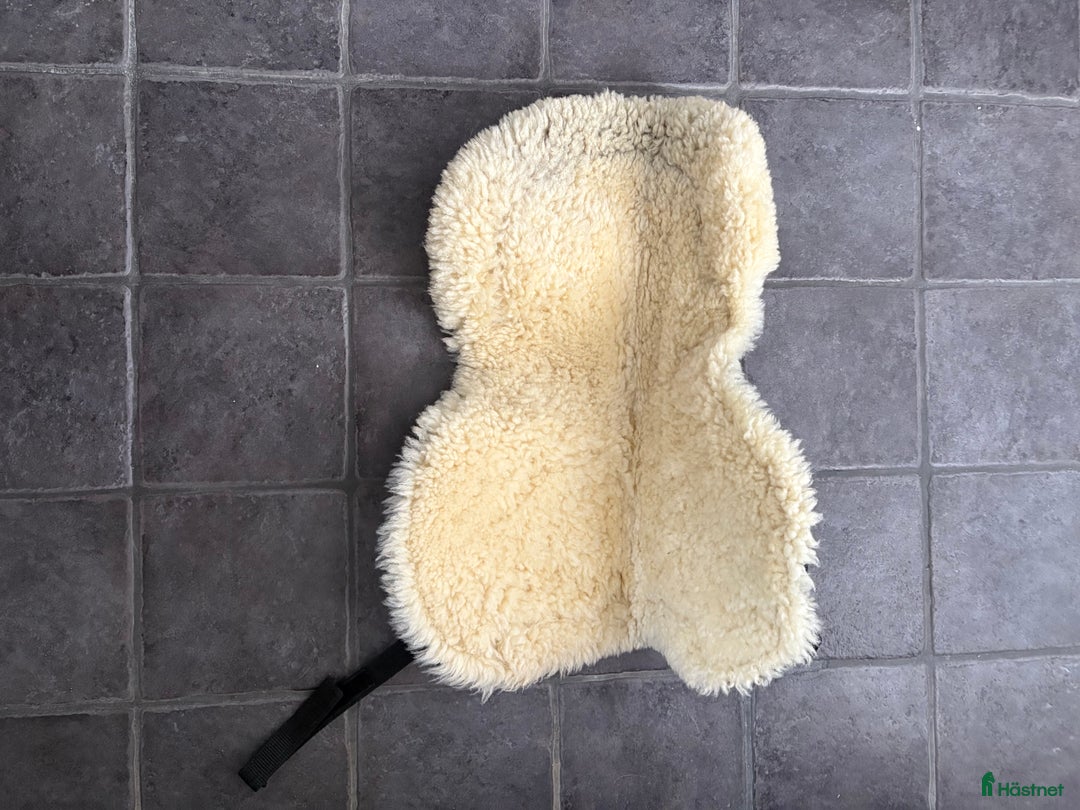 Sadeltillbehör hästutrustning till salu: Diverse sadeltillbehör säljes i Fjälkinge - Annons 2