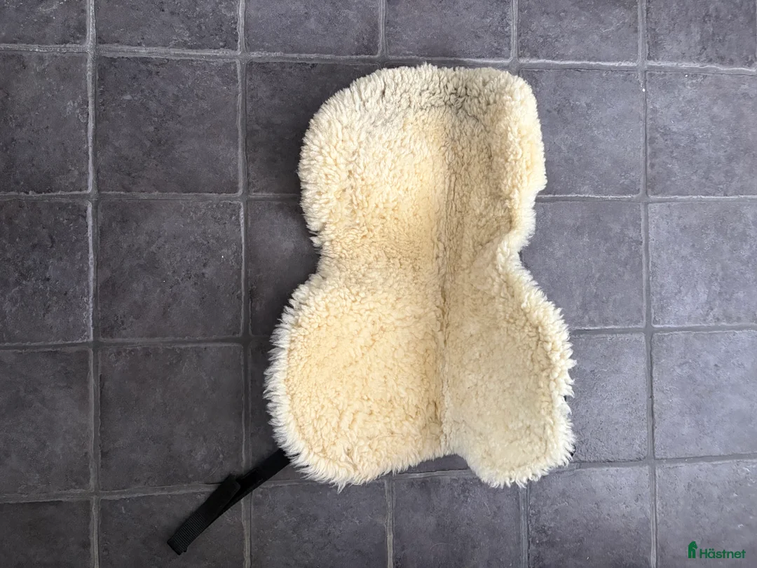 Sadeltillbehör hästutrustning till salu: Diverse sadeltillbehör säljes i Fjälkinge - Annons 2