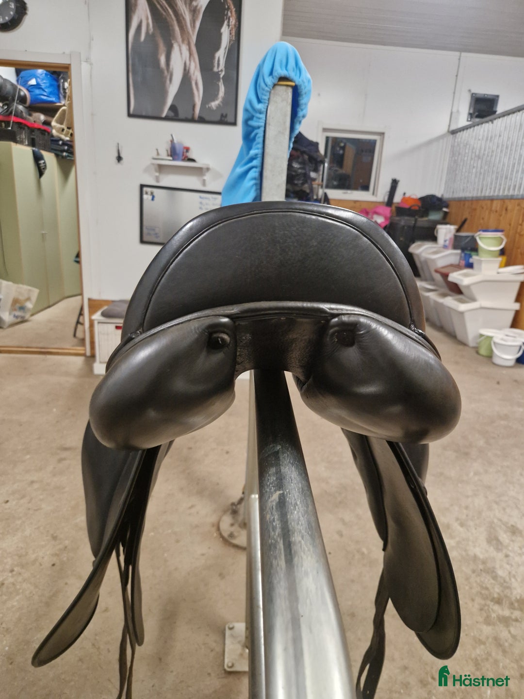 Sadlar hästutrustning till salu: Lippo Azzario  i Båstad - Annons 3